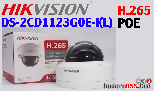 Hikvision DS-2CD1123G0E-I(L), Camera IP, Dome 2.0 Megapixel,  CAMERA DÒNG 1- IPC  H265